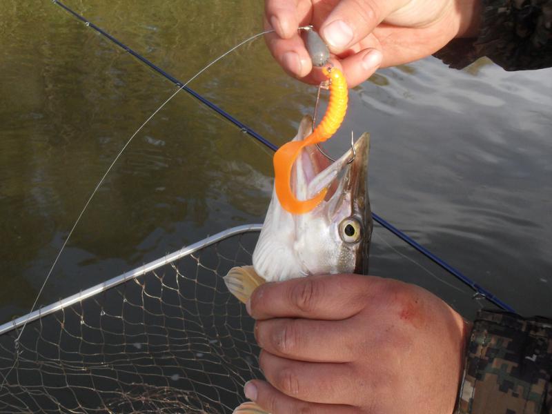 Прикрепленное изображение