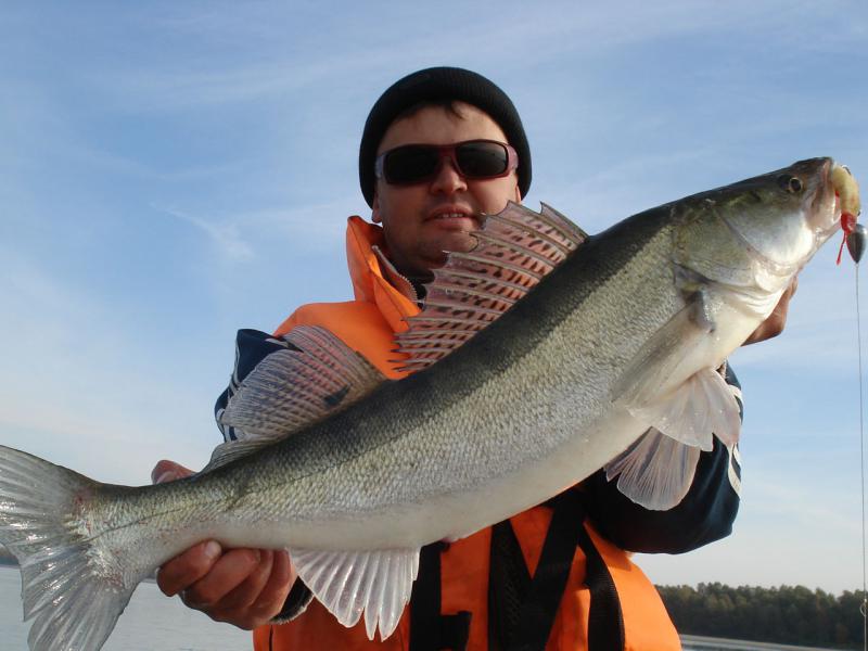 Прикрепленное изображение