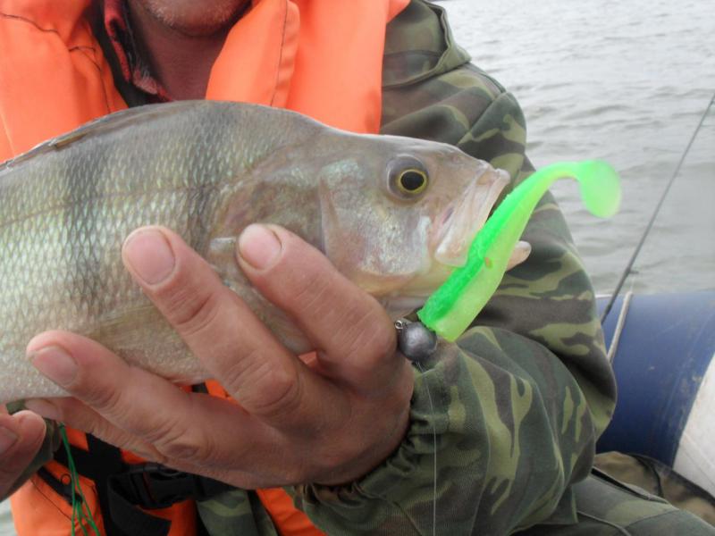 Прикрепленное изображение