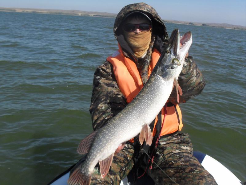 Прикрепленное изображение