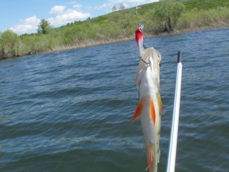 Прикрепленное изображение