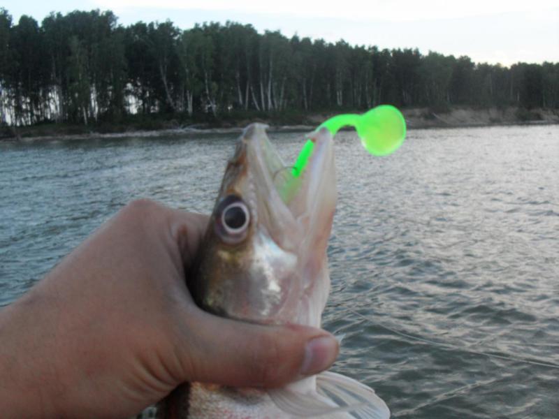 Прикрепленное изображение