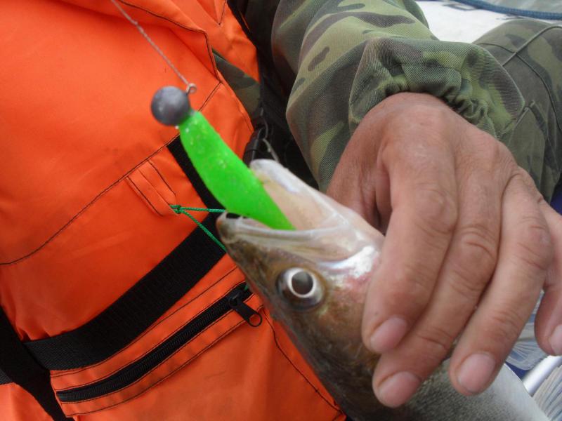 Прикрепленное изображение