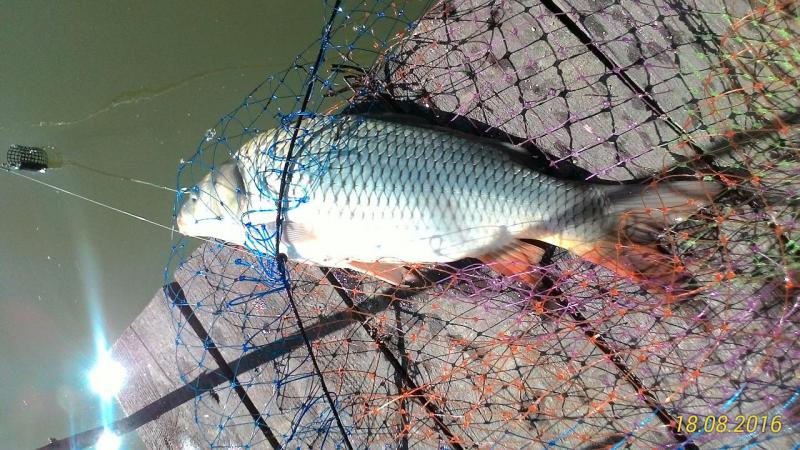 Прикрепленное изображение