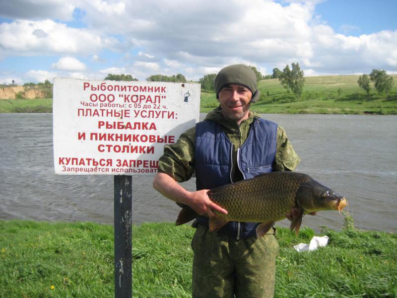 Прикрепленное изображение