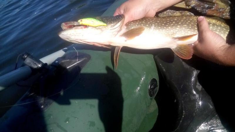 Прикрепленное изображение