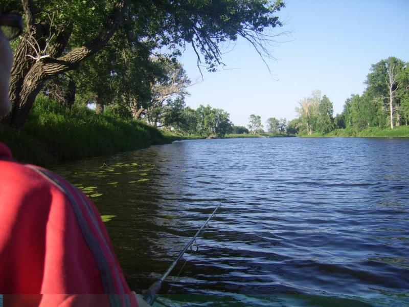 Прикрепленное изображение