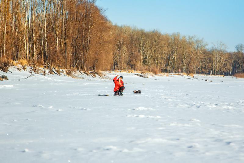 Прикрепленное изображение