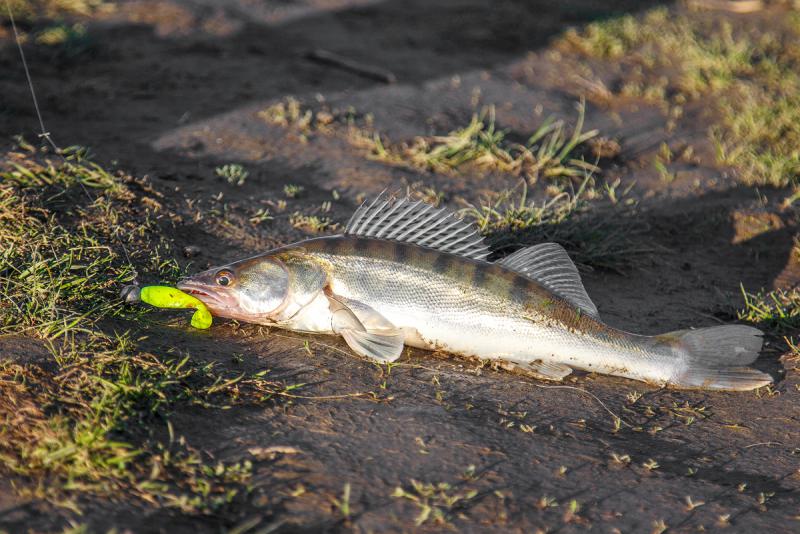 Прикрепленное изображение