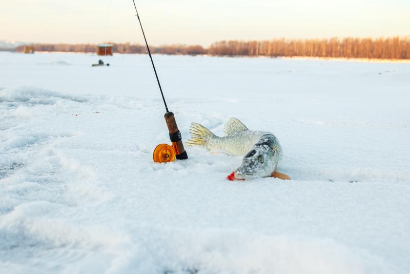 Прикрепленное изображение