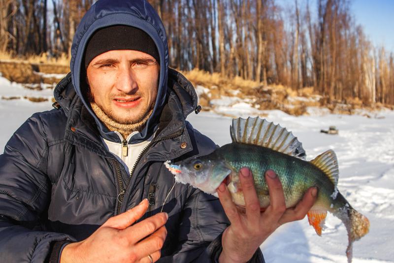 Прикрепленное изображение