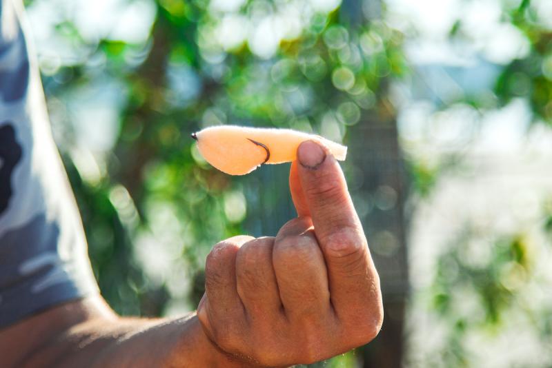 Прикрепленное изображение