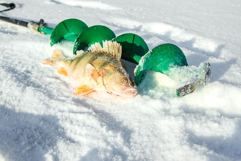 Прикрепленное изображение