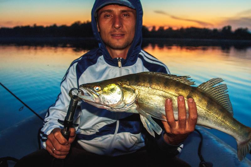 Прикрепленное изображение