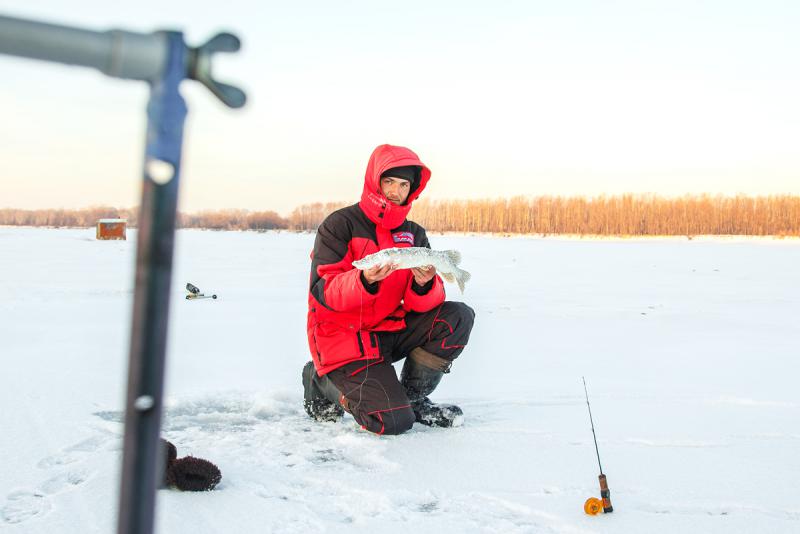 Прикрепленное изображение