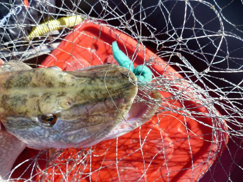 Прикрепленное изображение