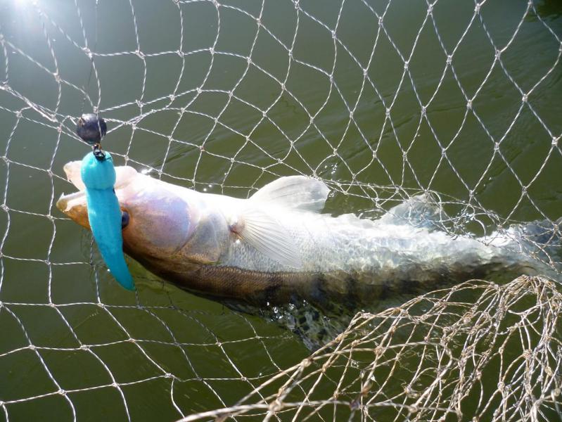 Прикрепленное изображение