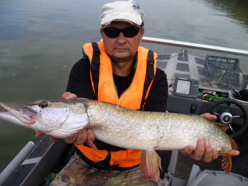 Прикрепленное изображение