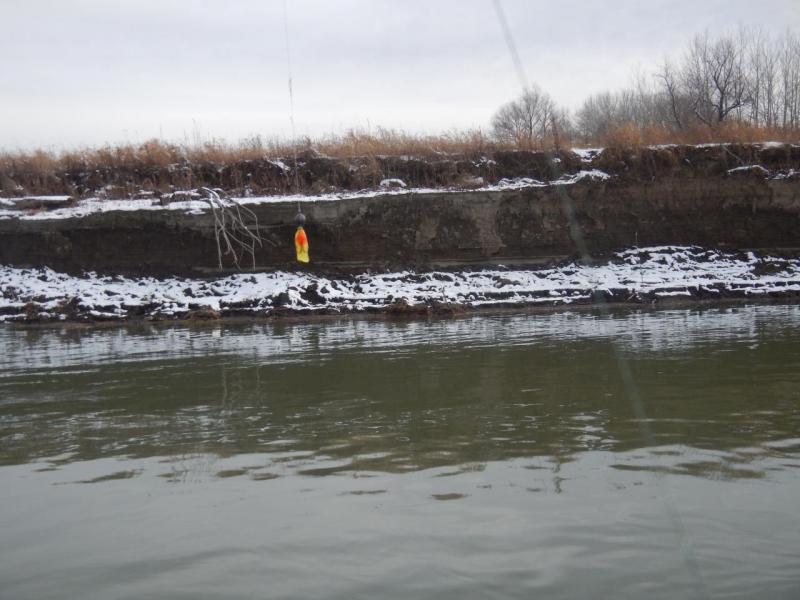 Прикрепленное изображение