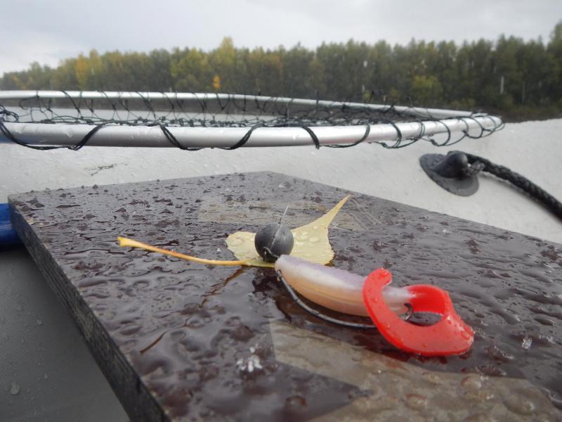 Прикрепленное изображение