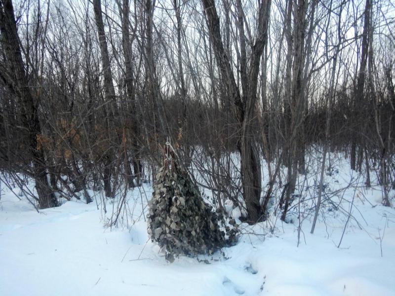 Прикрепленное изображение