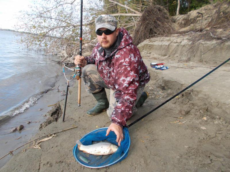 Прикрепленное изображение