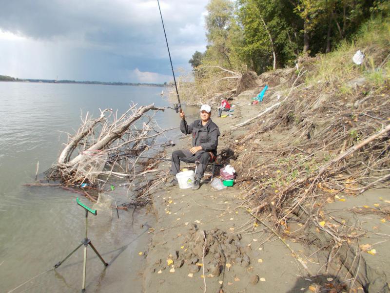 Прикрепленное изображение