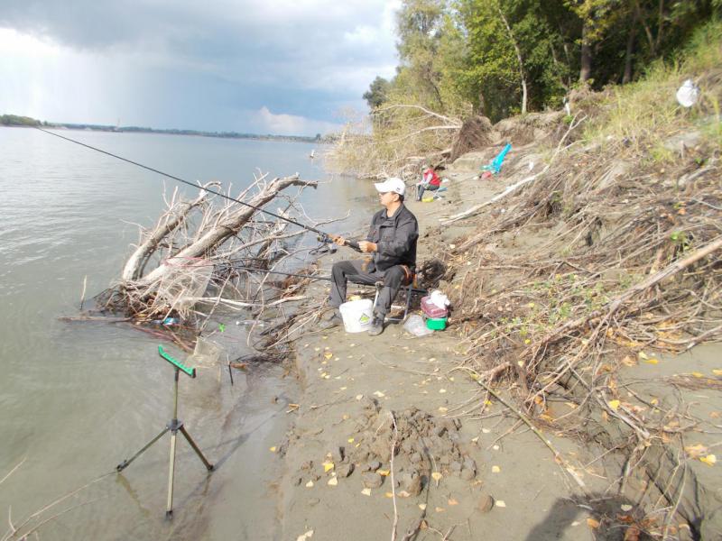 Прикрепленное изображение