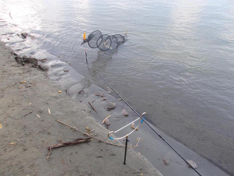 Прикрепленное изображение