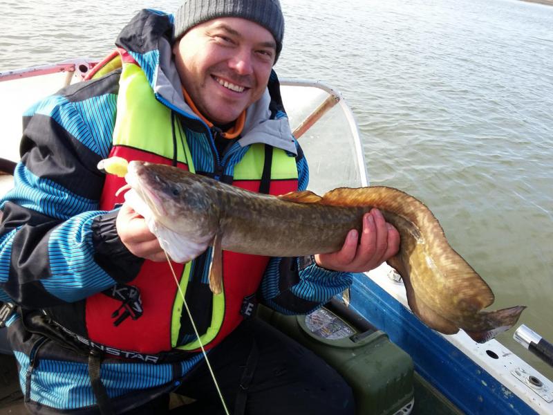 Прикрепленное изображение