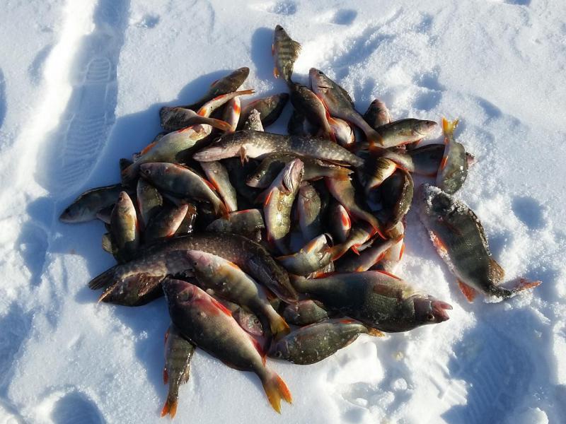 Прикрепленное изображение