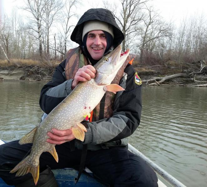 Прикрепленное изображение