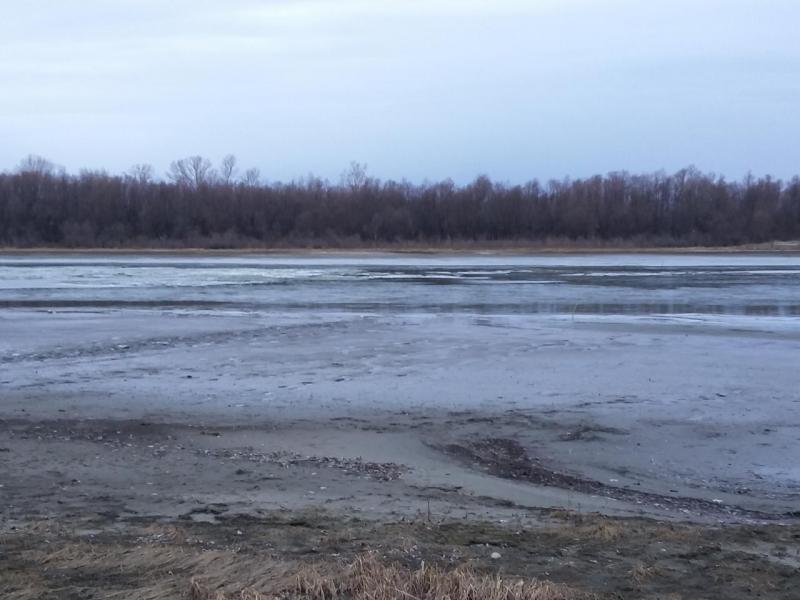 Прикрепленное изображение