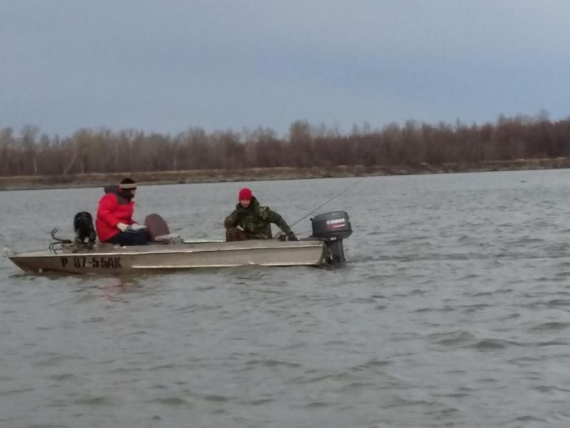 Прикрепленное изображение