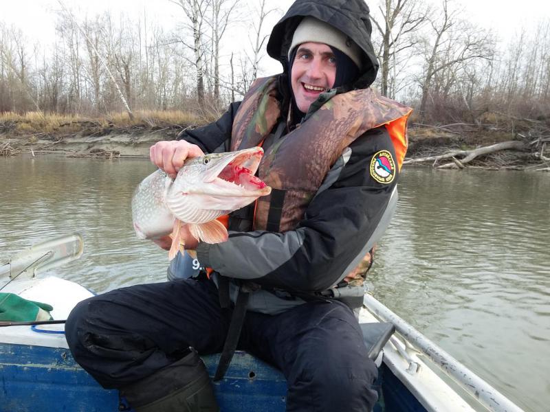 Прикрепленное изображение