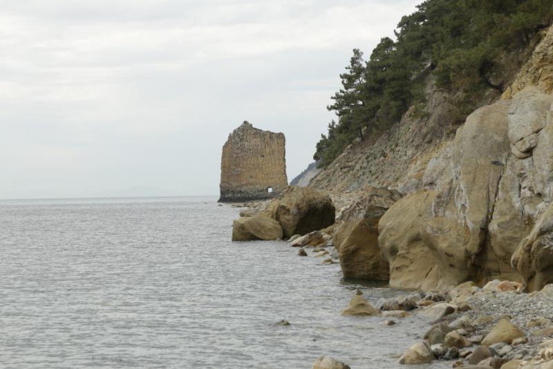 Прикрепленное изображение