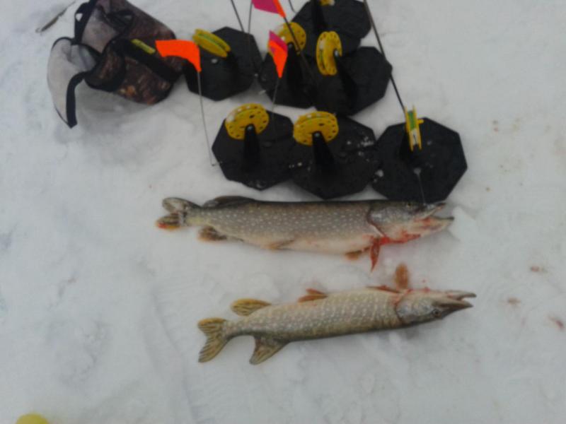 Прикрепленное изображение