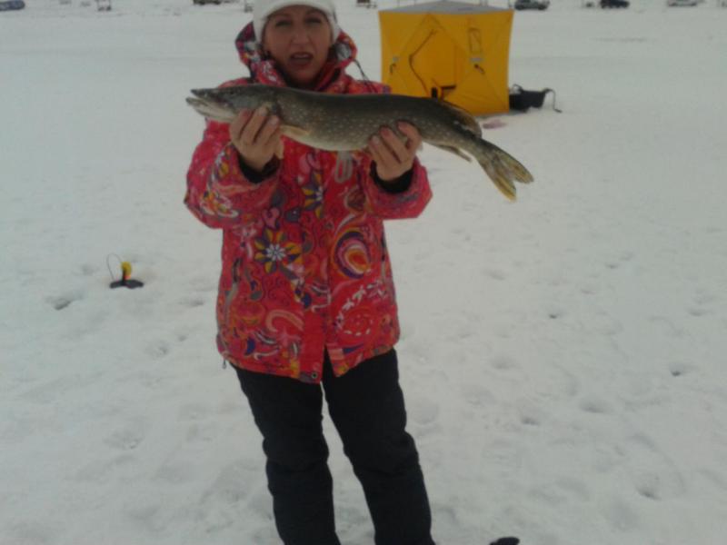 Прикрепленное изображение