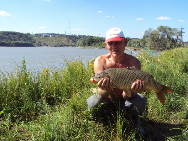 Прикрепленное изображение