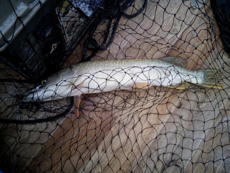 Прикрепленное изображение