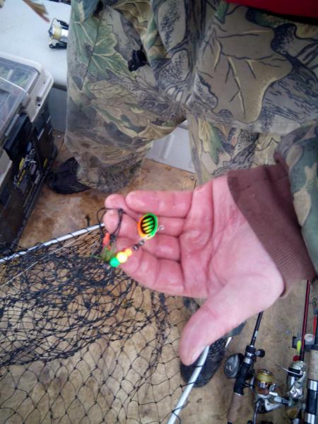 Прикрепленное изображение