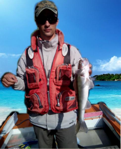 Прикрепленное изображение