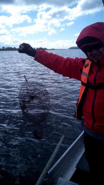 Прикрепленное изображение