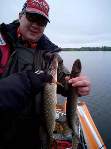 Прикрепленное изображение