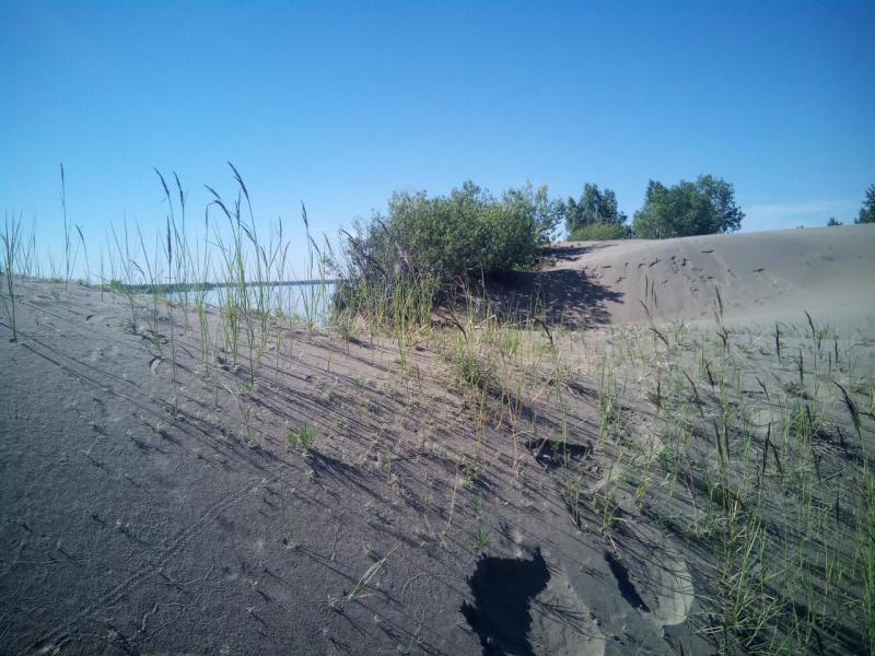 Прикрепленное изображение