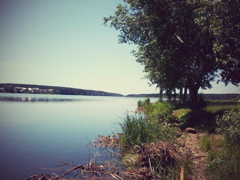Прикрепленное изображение