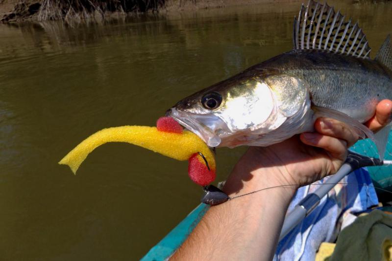 Прикрепленное изображение