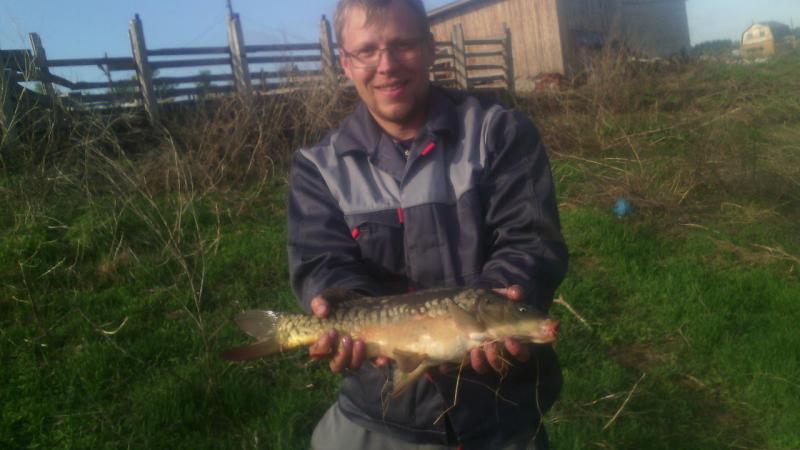 Прикрепленное изображение