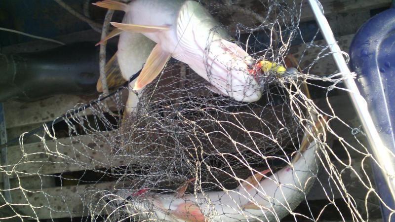 Прикрепленное изображение