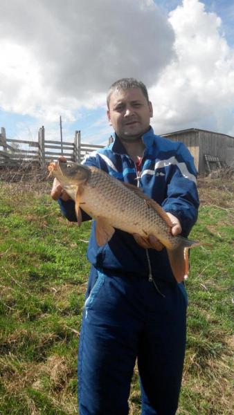 Прикрепленное изображение